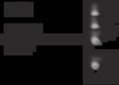AVR-1911