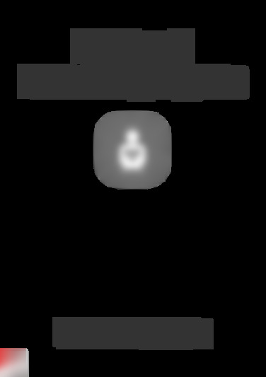 LYZ RC L900