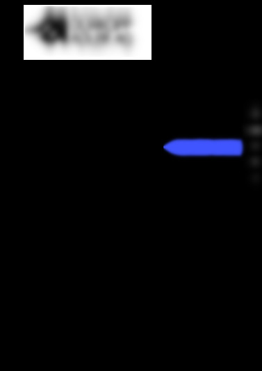 267