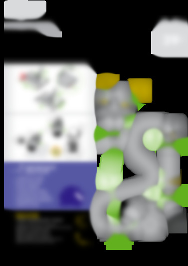 DC29