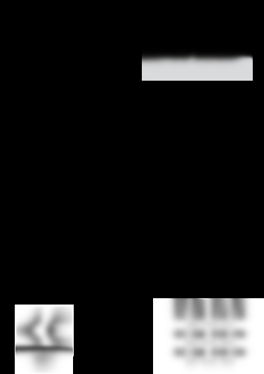 SC GB 838 CN