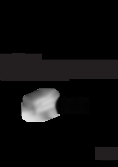 GZ MS110BE
