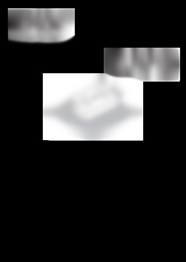 ELPAP10