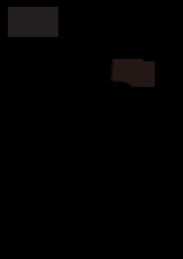 XP-245
