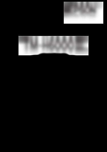 tm-h6000III