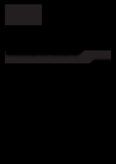 XP 312