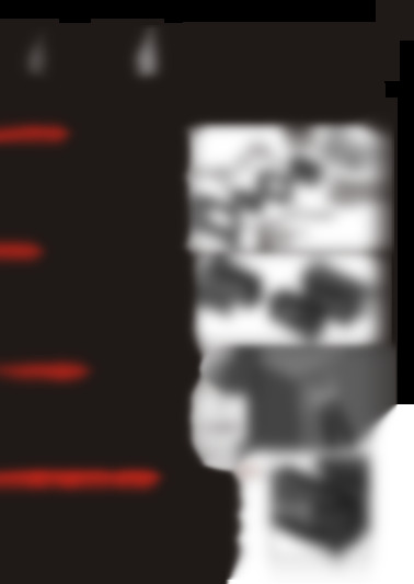 C29