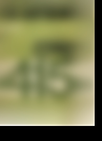 415