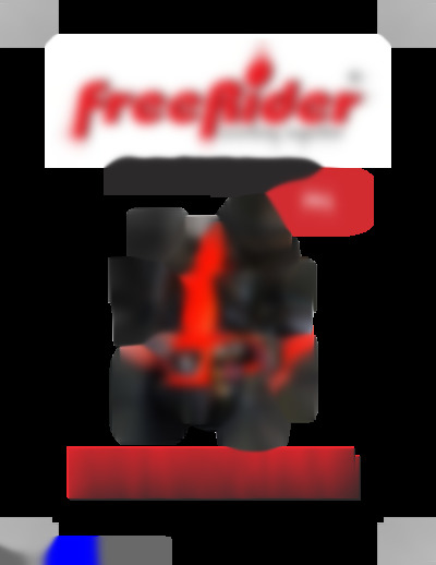 F1