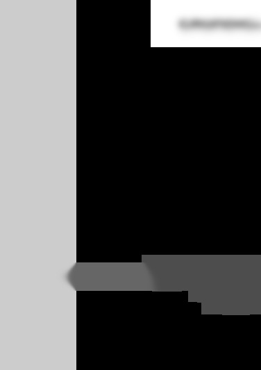 Music 51