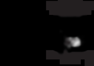 PCA 310