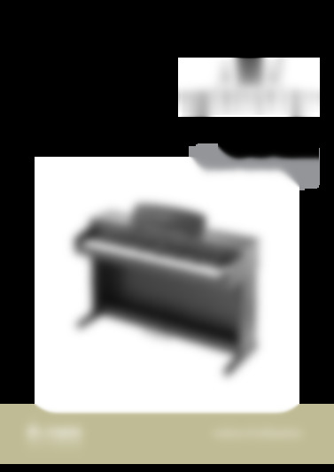 DP 501II PIANO DIGITAL