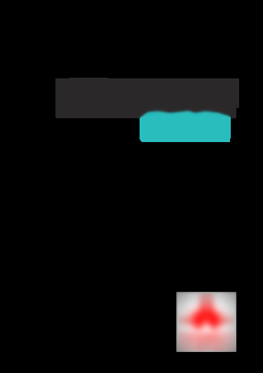 nova 5t