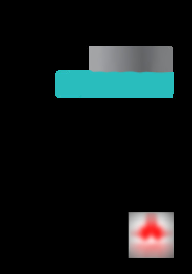 p10 plus