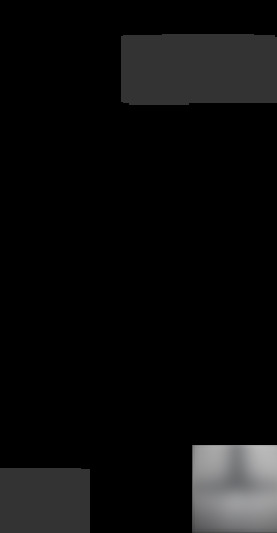 stk-lx1