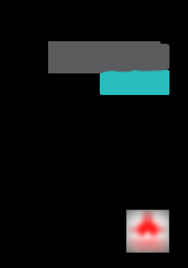 y6p