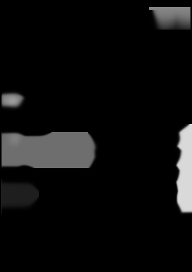 Polar 10