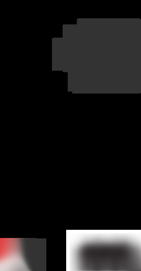 VNE-N41