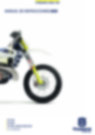 TE 300i 2020