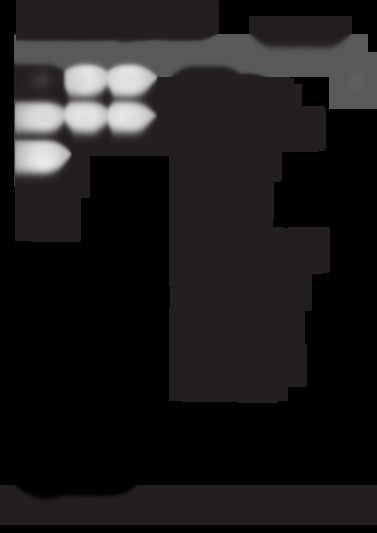 IDL 500