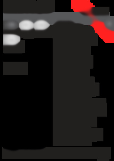 dfg 26b1 nx eu
