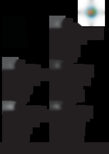 BIAA13