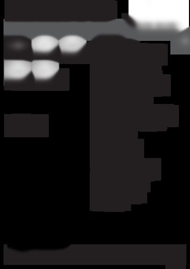 Bea-81283