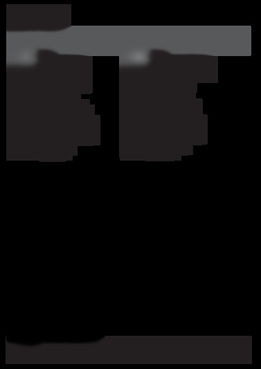 DFG 15B1 S IT