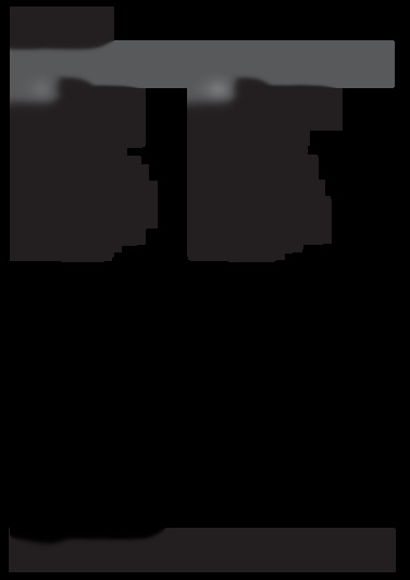 DFG 26M1 A S IT