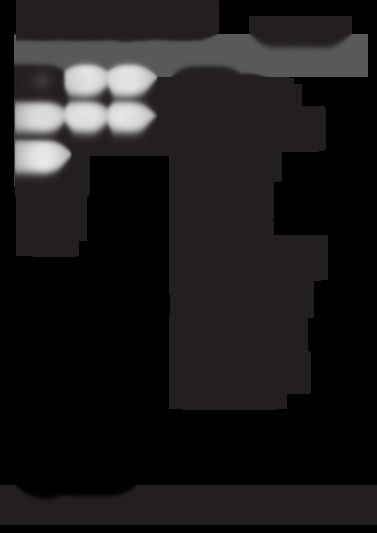 IDL6021 EI.2