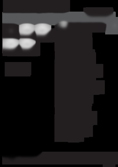 IWDE 127