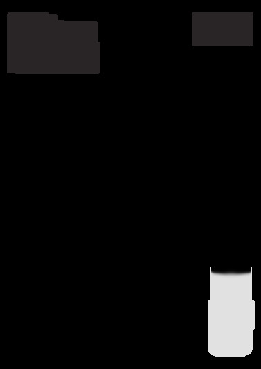 K6G11S