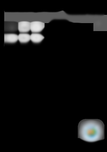 RG-2330