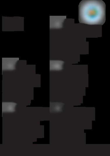 SSIAA12