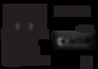 520