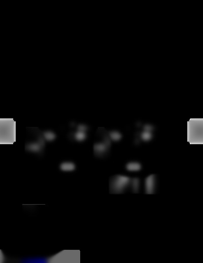 CA-D302T