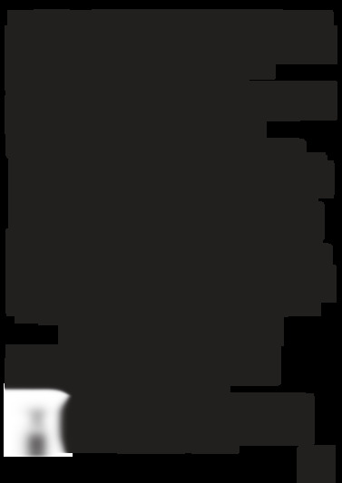 hzl 35z