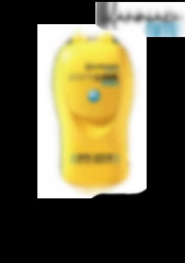 Safelink Pro