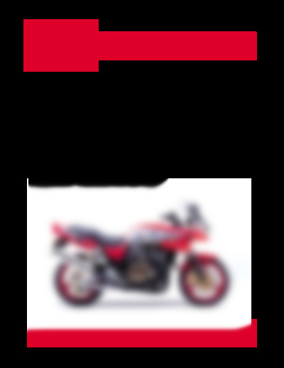 ZRX 1200