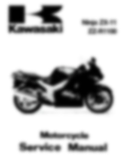 Zzr 1100