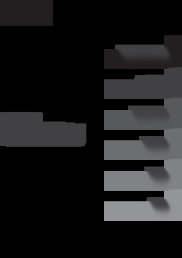K-dp09