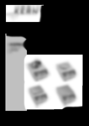 KERN & Sohn GmbH Balances de précision  440