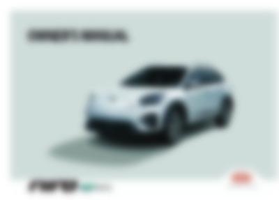 e-Niro