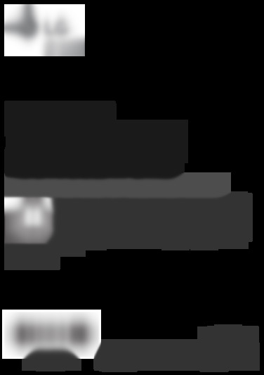 LG GSJ960PZBZ