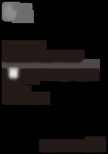 S12ET