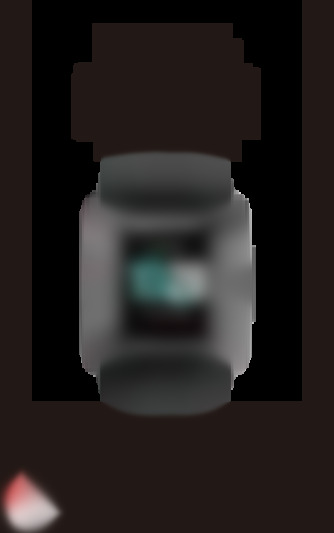 ID205L