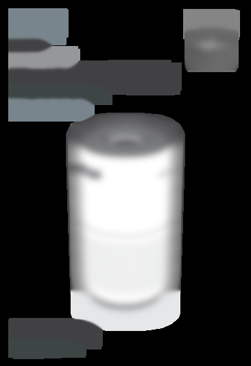 Levoit