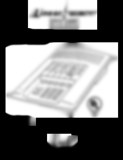 DVS 2400