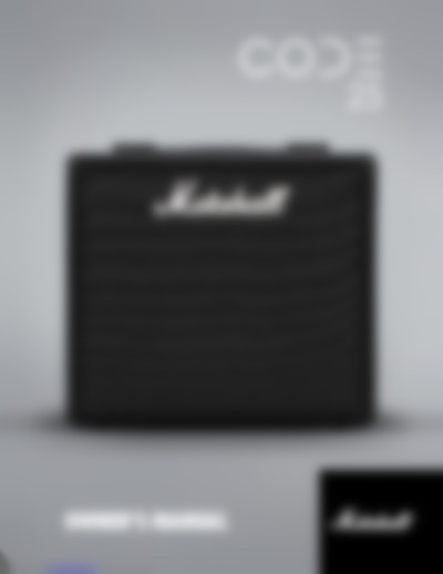 Amplification CODE 25