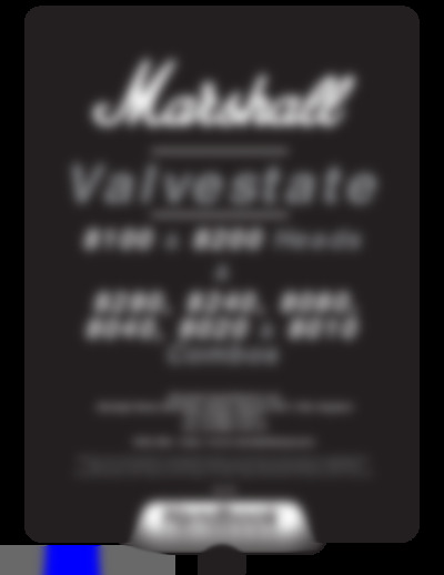 amplification Valvestate 8080